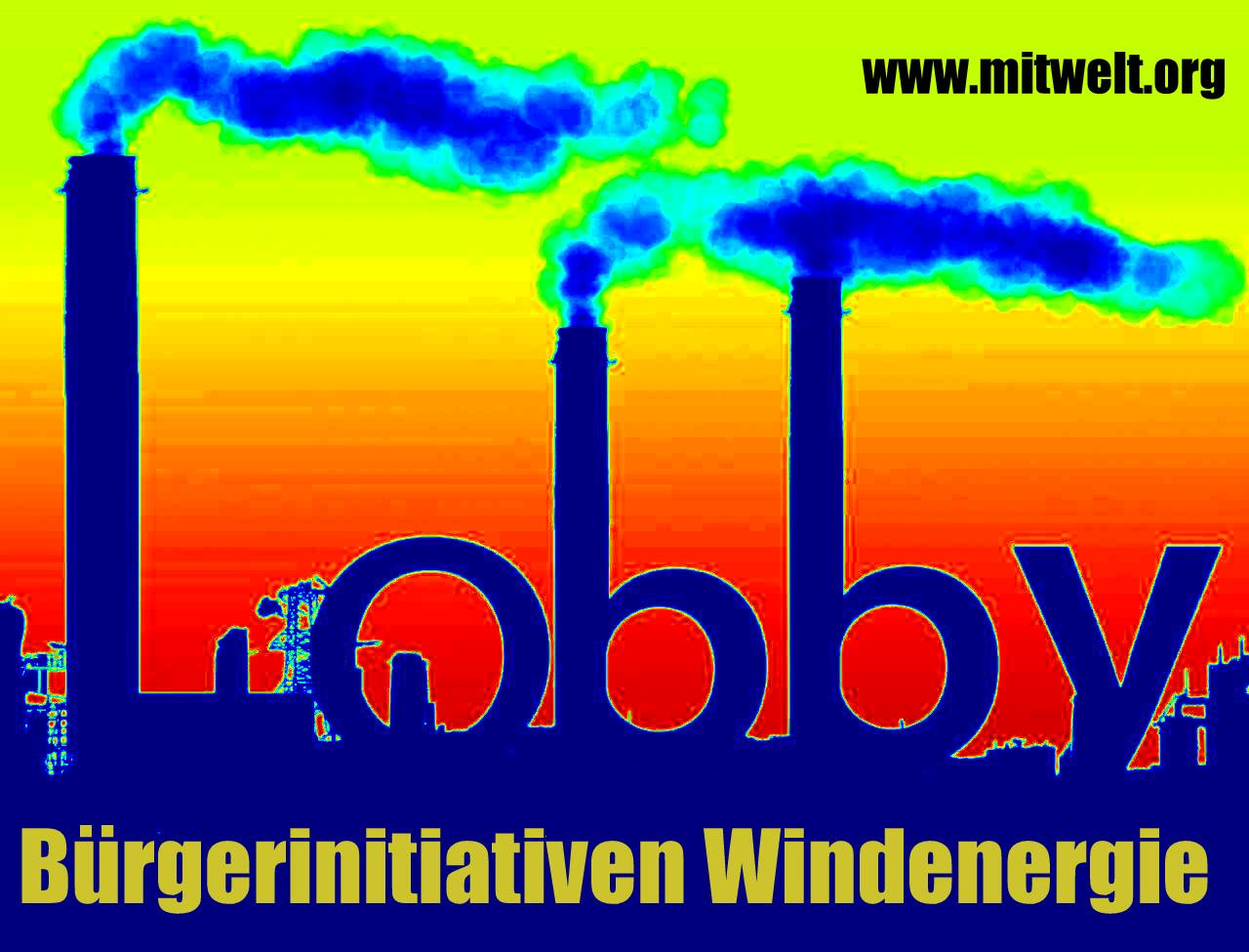 Windkraft im Wald: NEIN DANKE Deutsche Wildtier Stiftung will mit
